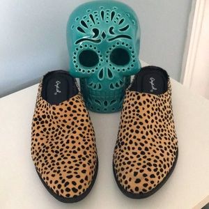 Qupid mules women’s cheetah print
